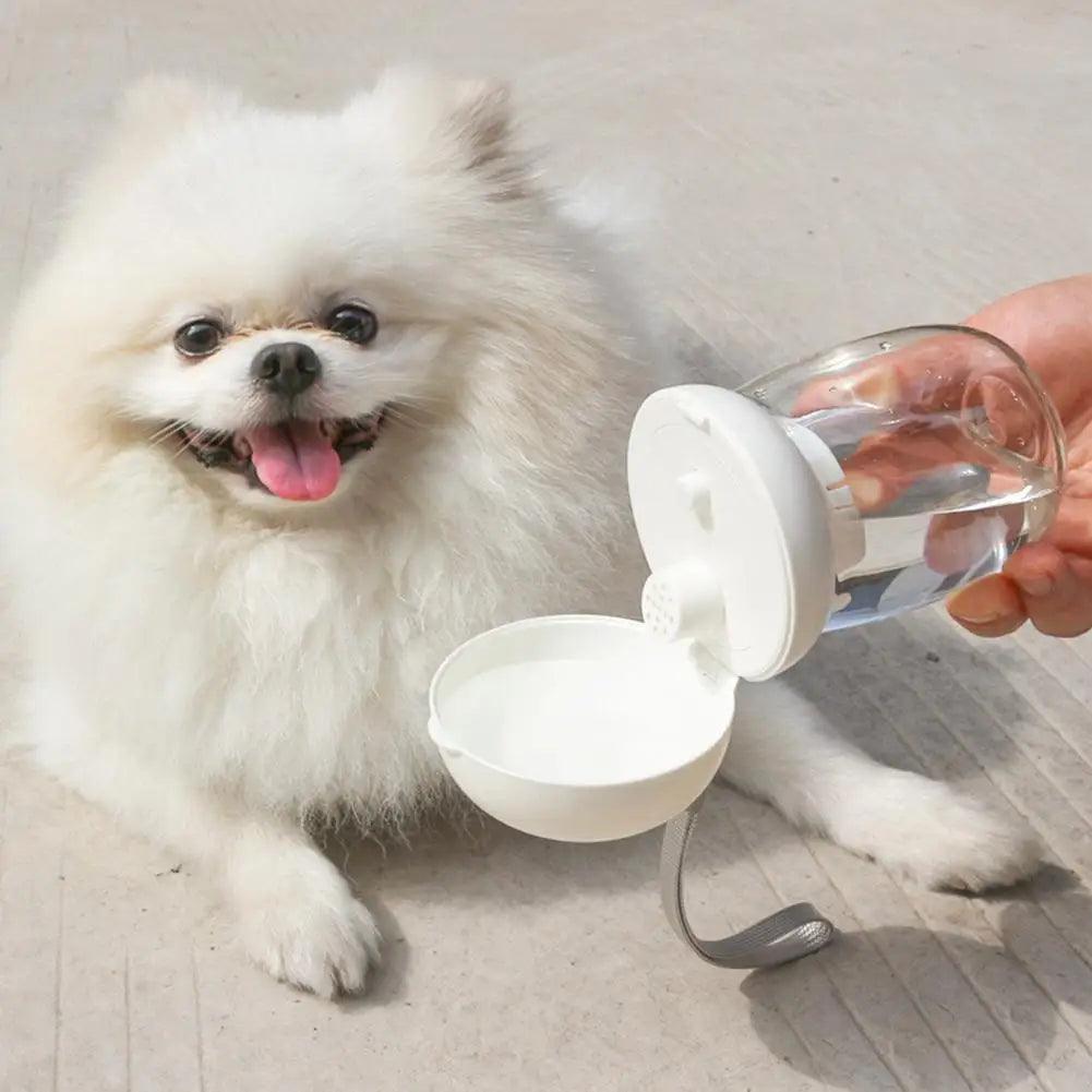 300ml Outdoor Portable Traveling Cup Water Bottle Feeding Bowl With Lanyard Puppy Pet Drinker For Dog Accessories Supplies - Ammpoure Wellbeing