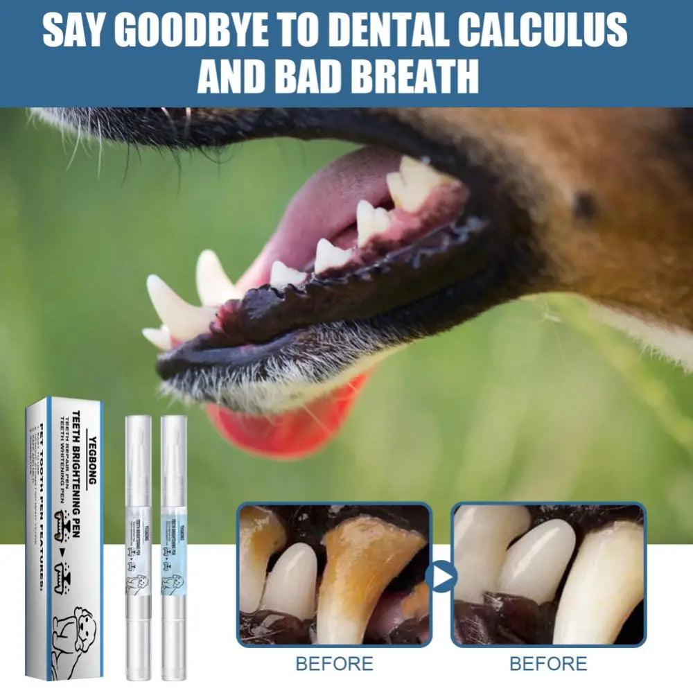 5ml Pets Teeth Cleaning Tool Dogs Cats Tartar Remover Dental Stones Scraper Plastic Cleaning Pen Cleaning Tools - Ammpoure Wellbeing