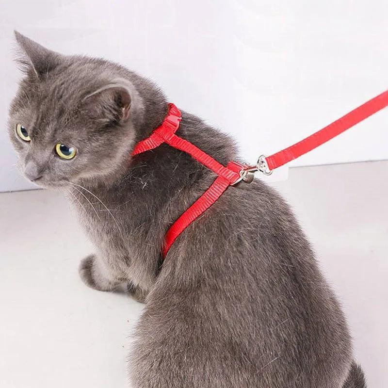 Adjustable Cat Harness Nylon Strap Collar with Leash Escape Proof Kitten Collar for Walking Small Pet Rabbit Lightweight Harness - Ammpoure Wellbeing