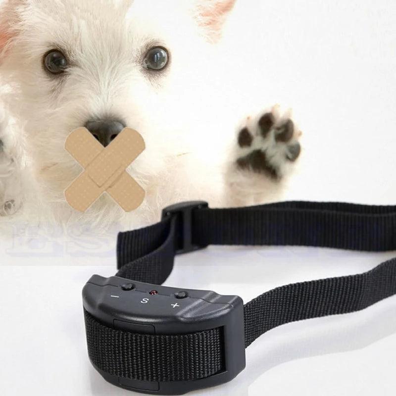 Anti Bark Collar Small Pet Dog No Barking Tone Shock Training,Indoor Outdoor Little Dogs Teaching Tool Electric - Ammpoure Wellbeing