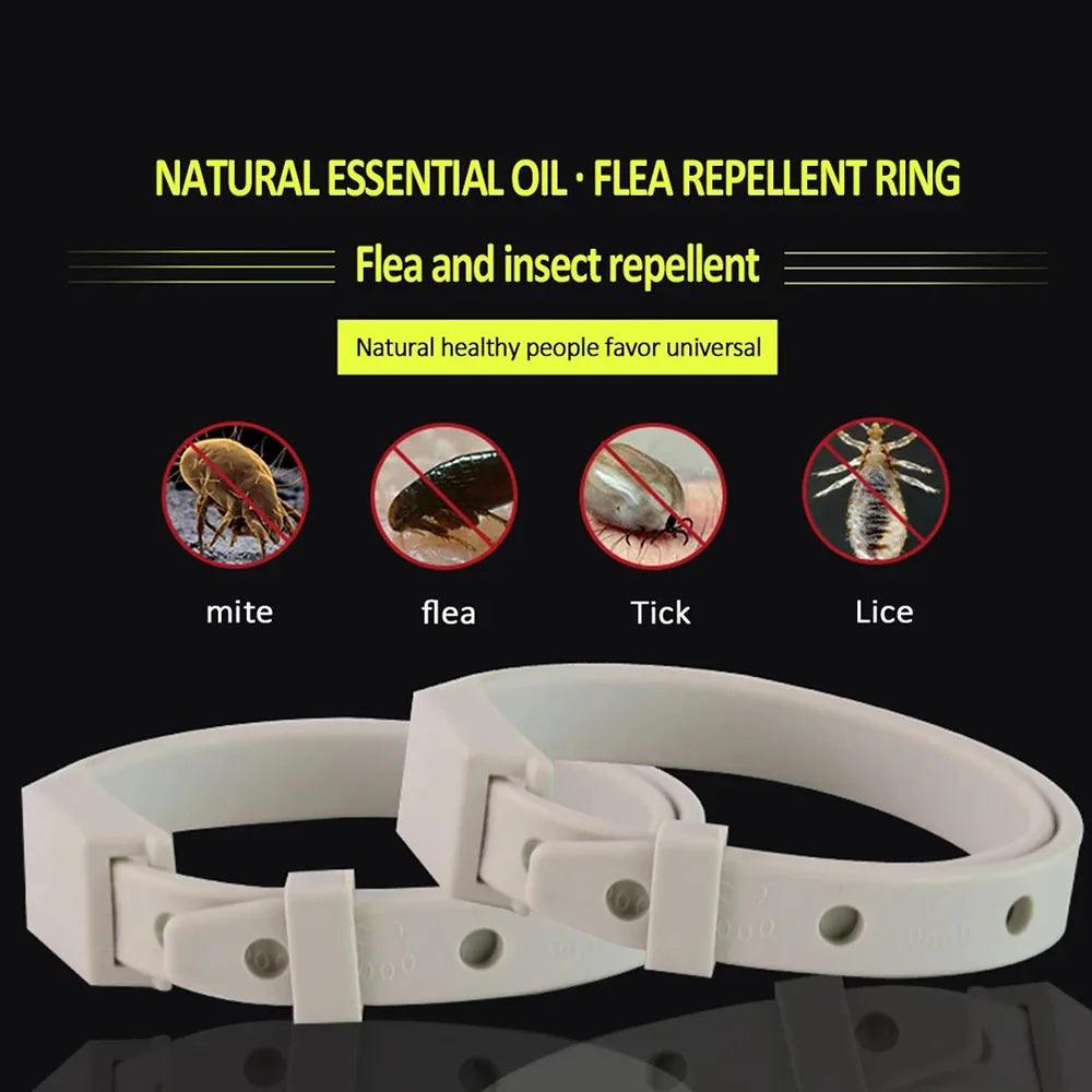 Anti Flea Tick Collar For Cat Small Dog Antiparasitic 8Month Protection Adjustable Puppy Kitten Collar Breakaway Pet Accessories - Ammpoure Wellbeing