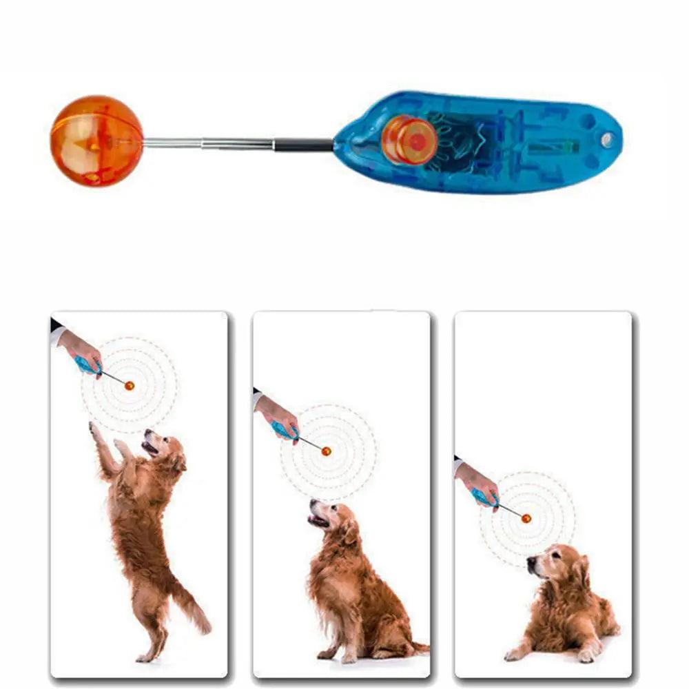 Behogar Novelty Stretchable Design Pet Dog Cat Training Clicker Agility Clickers Bird Whistle Commander Supply Accessory - Ammpoure Wellbeing