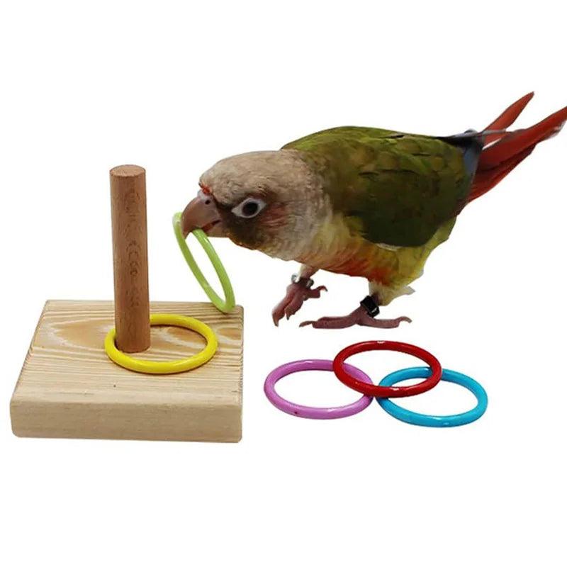 Bird Training Toys Set Wooden Block Puzzle Toys For Parrots Colorful Plastic Rings Intelligence Training Chew Toy Bird Supplies - Ammpoure Wellbeing