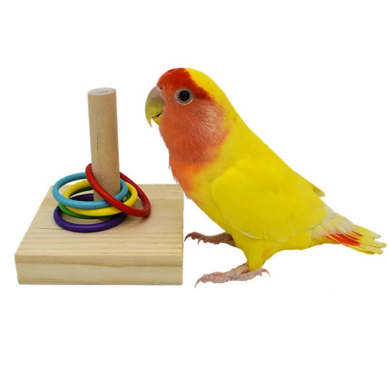 Bird Training Toys Set Wooden Block Puzzle Toys For Parrots Colorful Plastic Rings Intelligence Training Chew Toy Bird Supplies - Ammpoure Wellbeing