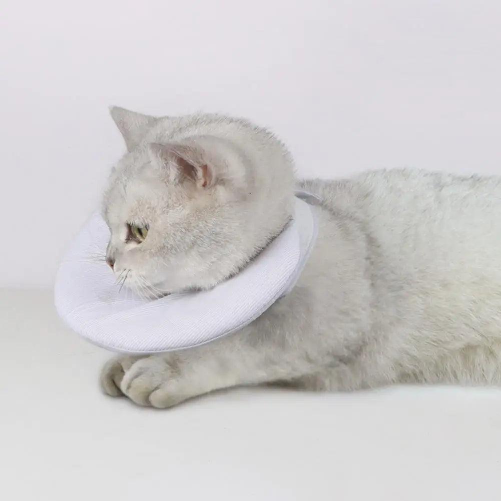 Cat Cone Collar Double Sided Use Fastener Tape Pet Recovery Collar Anti - Bite After Surgery Pet Cat Cone Collar Pet Supplies - Ammpoure Wellbeing