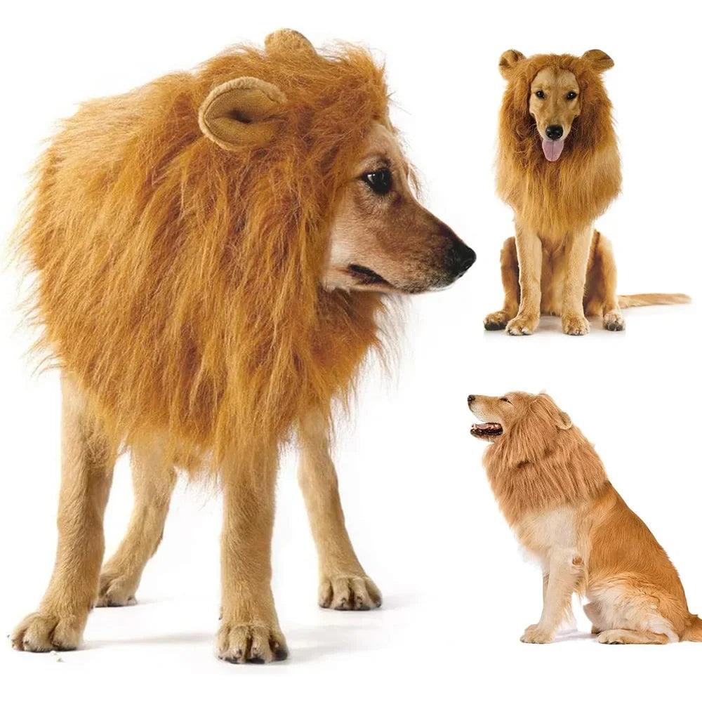 Cute Pet Dog Cosplay Clothes Lion Mane For Dog Costumes Realistic Lion Wig For Medium to Large Dogs With Ear Pet Accessories - Ammpoure Wellbeing