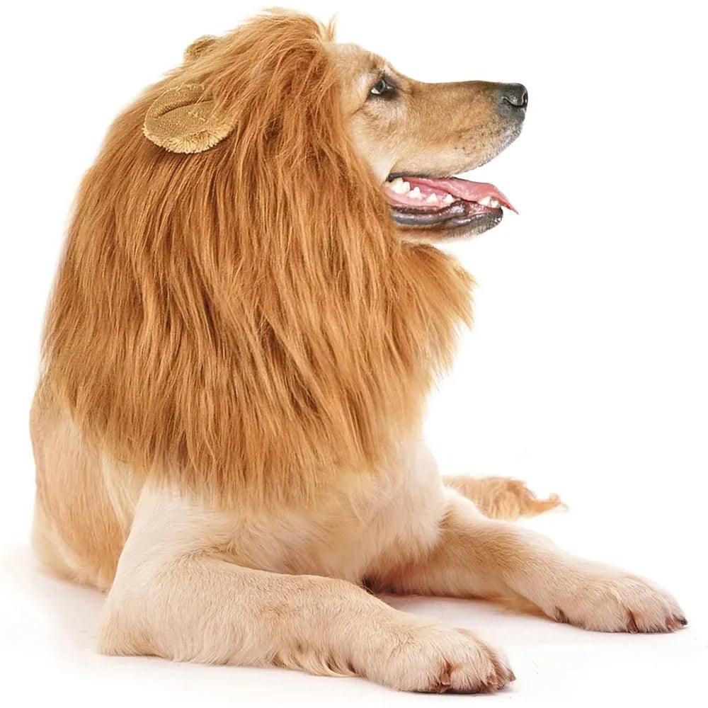 Cute Pet Dog Cosplay Clothes Lion Mane For Dog Costumes Realistic Lion Wig For Medium to Large Dogs With Ear Pet Accessories - Ammpoure Wellbeing