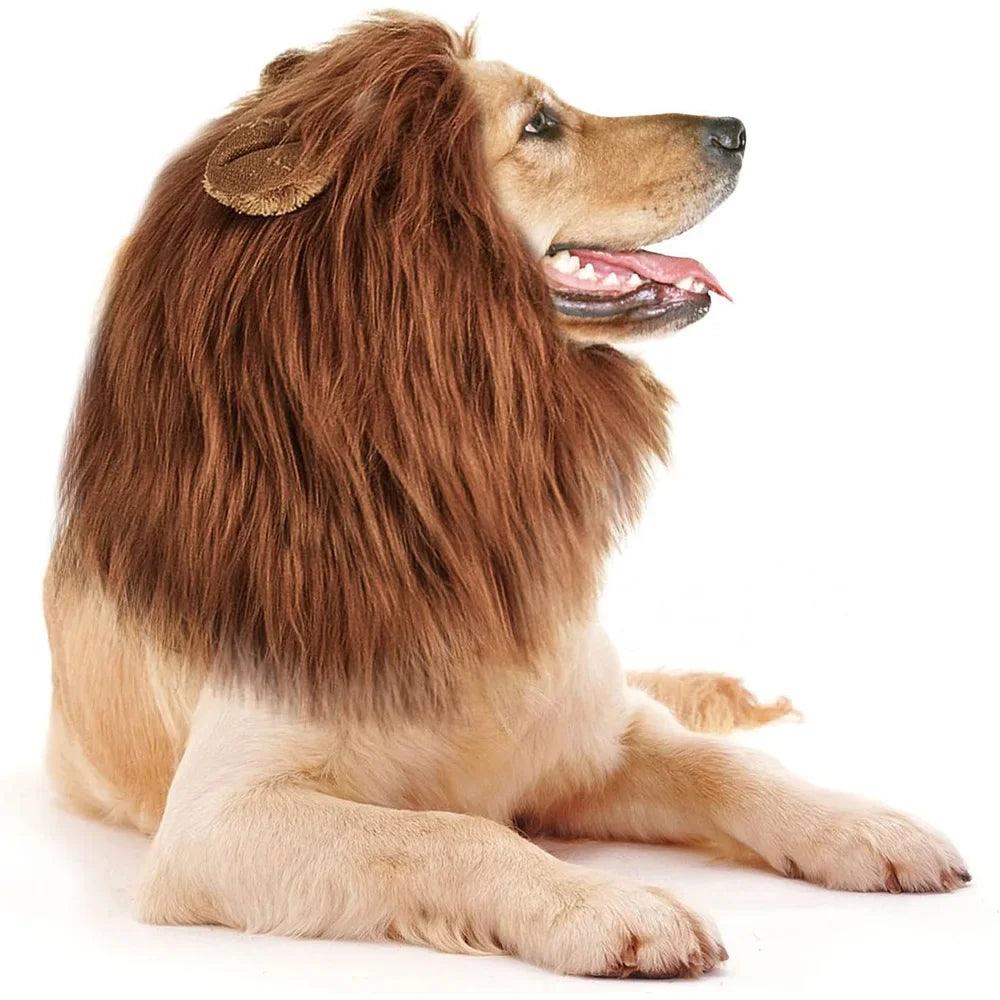 Cute Pet Dog Cosplay Clothes Lion Mane For Dog Costumes Realistic Lion Wig For Medium to Large Dogs With Ear Pet Accessories - Ammpoure Wellbeing