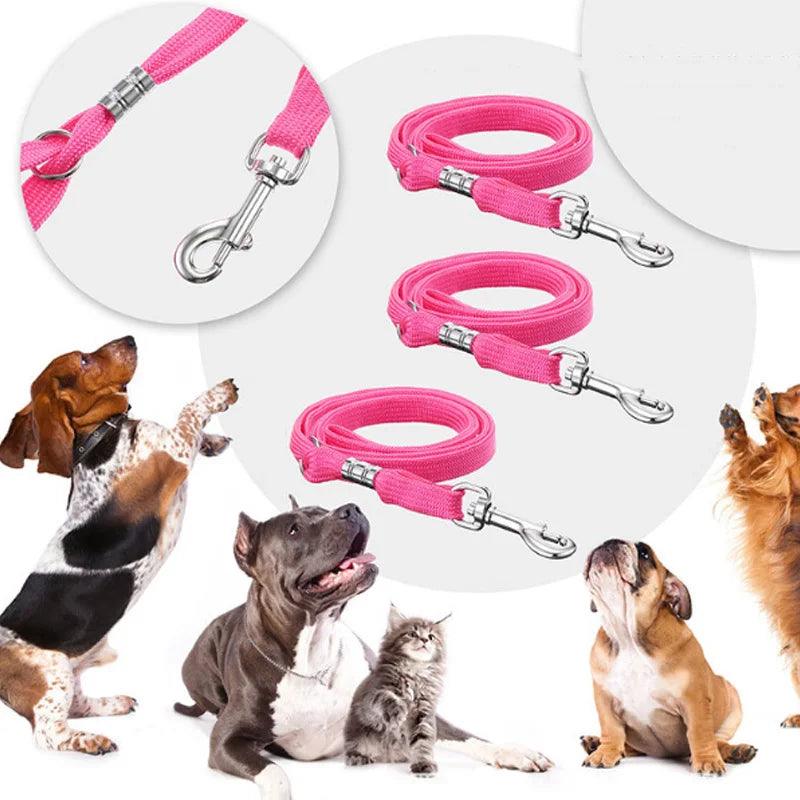 Dog Collar Pet Grooming Loops Safety Rope Leash Leads Dog Accessories Nylon Restraint Noose Solid Color Pet Supplies Adjustable - Ammpoure Wellbeing