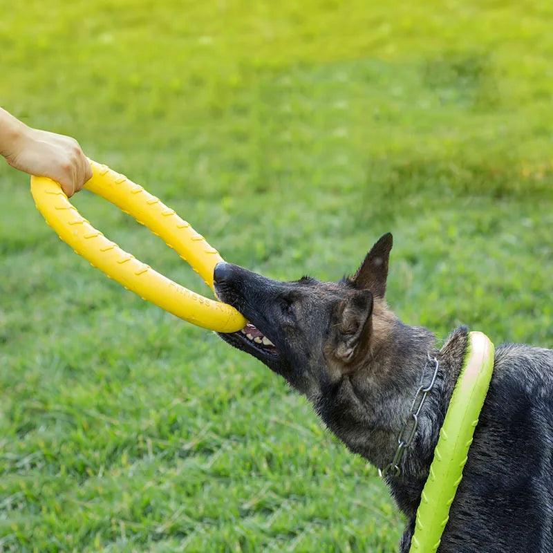 Dog Toy Flying Discs EVA Dog Training Ring Puller Resistant Bite Floating Toy Puppy Outdoor Interactive Ring Toy Pet Accessories - Ammpoure Wellbeing