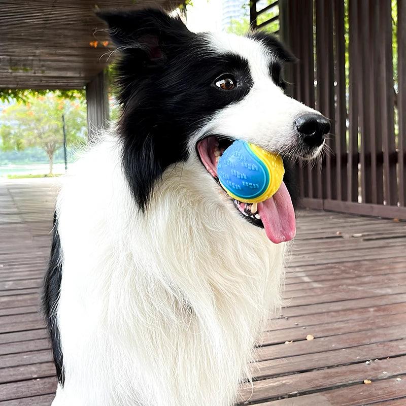 Dogs Interactive Toys Soft TPR Toys for Dog Pet Teeth Cleaning Bite Resistance Squeaky Dog Ball Toy - Ammpoure Wellbeing