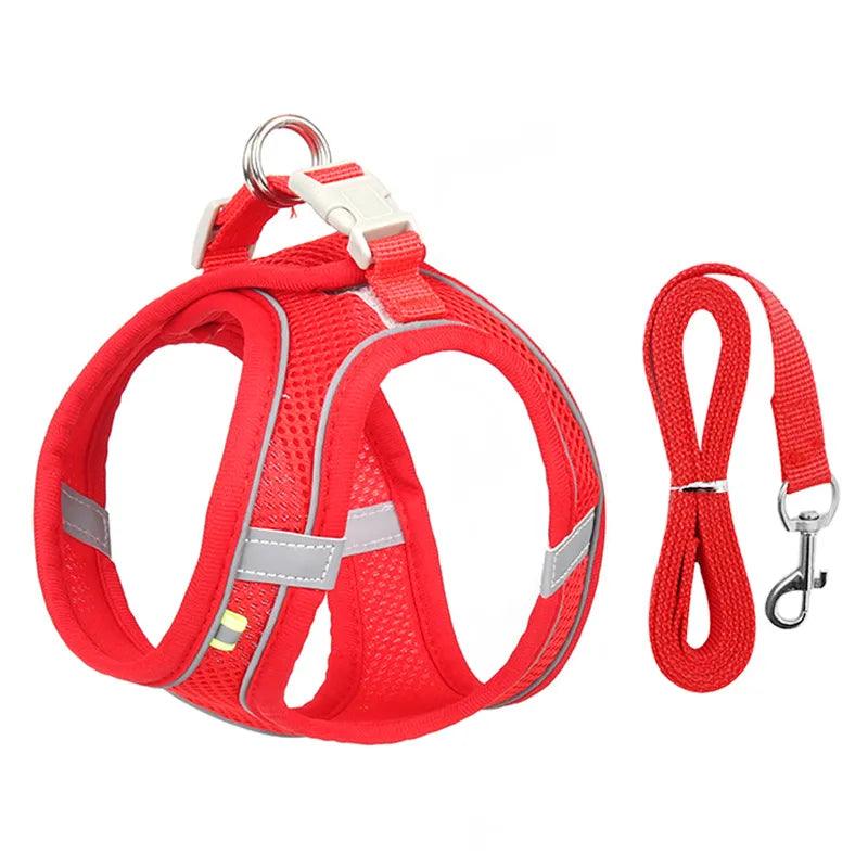 Escape Proof Cat Harness and Leash Set Adjustable Mesh Dog Harness Vest Puppy Pet Walking Lead Leash Small Dogs Cats Kitten XXS - Ammpoure Wellbeing