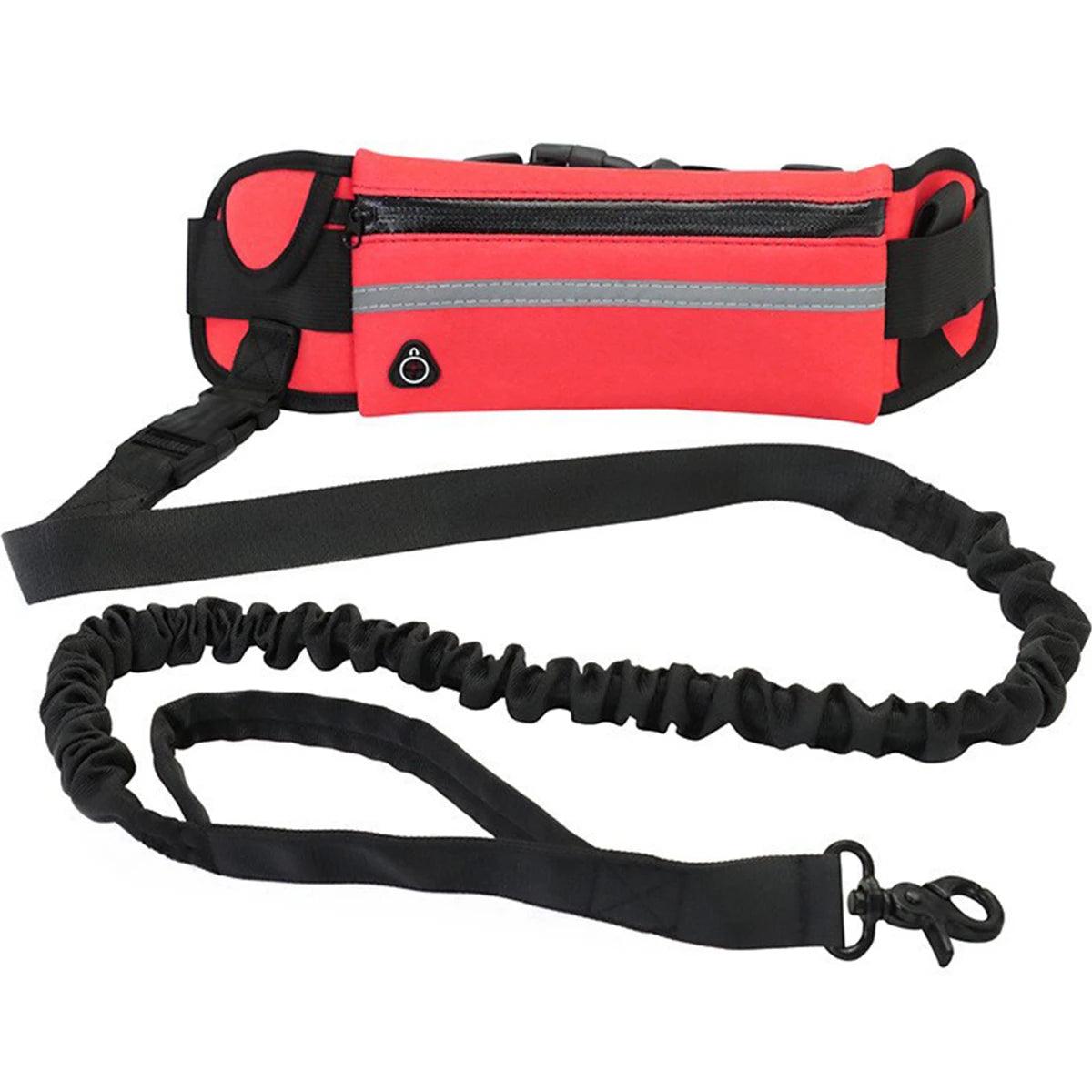 Hands Free Dog Leash for Running Walking Reflective Leash with Waist Bag Retractable Elastic Belt Dog Traction Rope Pet Products - Ammpoure Wellbeing