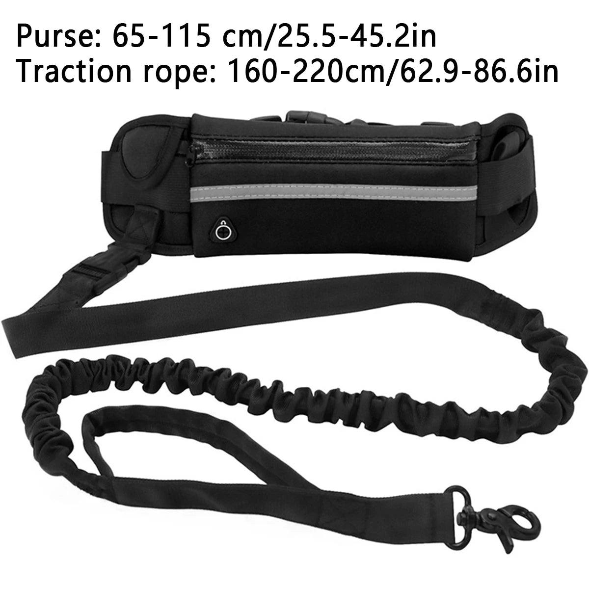 Hands Free Dog Leash for Running Walking Reflective Leash with Waist Bag Retractable Elastic Belt Dog Traction Rope Pet Products - Ammpoure Wellbeing