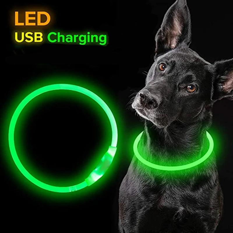 Led Dog Collar Luminous Usb Cat Dog Collar 3 Modes Led Light Glowing Loss Prevention LED Collar For Dogs Pet Dog Accessories - Ammpoure Wellbeing