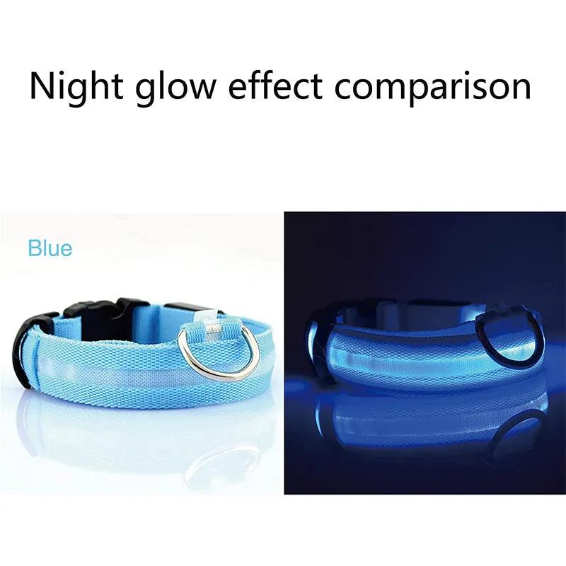 LED Glowing Dog Collars Rechargeable Waterproof Luminous Collar Adjustable Dog Night Light Collar Pet Dog Safety Necklace - Ammpoure Wellbeing