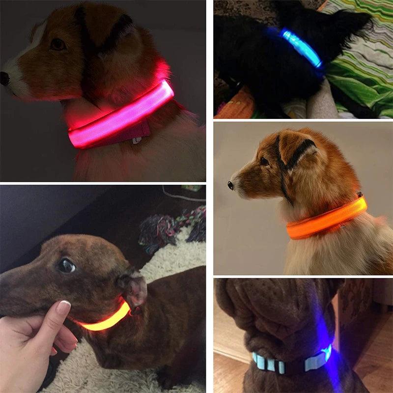 LED Glowing Dog Collars Rechargeable Waterproof Luminous Collar Adjustable Dog Night Light Collar Pet Dog Safety Necklace - Ammpoure Wellbeing