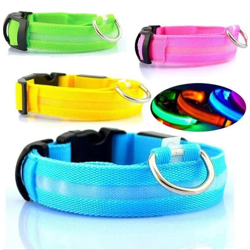 LED Glowing Dog Collars Rechargeable Waterproof Luminous Collar Adjustable Dog Night Light Collar Pet Dog Safety Necklace - Ammpoure Wellbeing