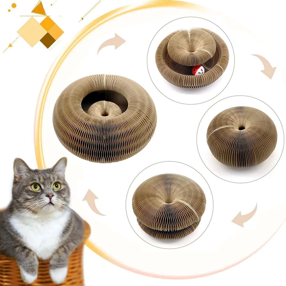 Magic Organ Cat Toy Cats Scratcher Scratch Board Round Corrugated Scratching Post Toys for Cats Grinding Claw Cat Accessories - Ammpoure Wellbeing