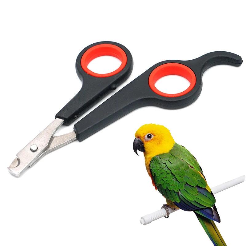 Pet Bird Parrot Small Animals Accessory Grooming Tool Nail Scissors Clipper Black And Red - Ammpoure Wellbeing