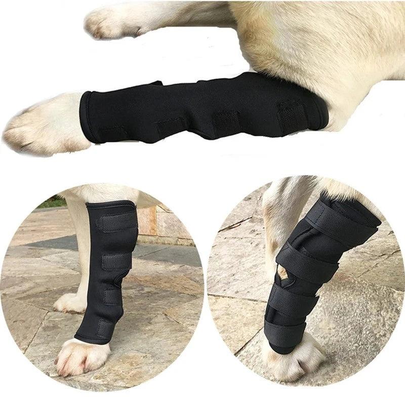 Pet Knee Pads Dog Support Brace For Leg Injury Recover Hock Joint Wrap Breathable Dog Legs Protector Support Health - Ammpoure Wellbeing