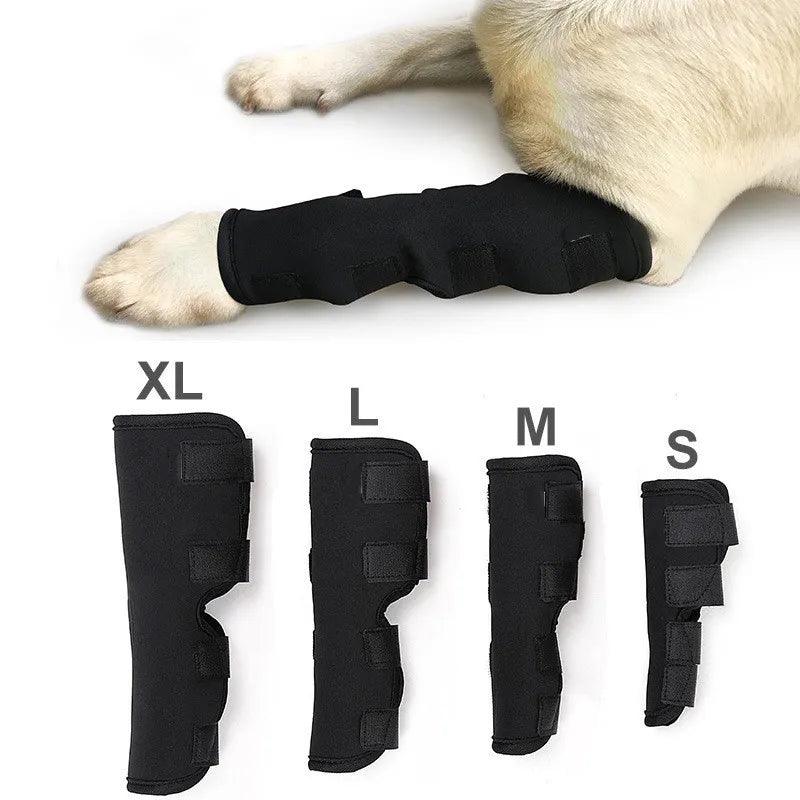 Pet Knee Pads Dog Support Brace For Leg Injury Recover Hock Joint Wrap Breathable Dog Legs Protector Support Health - Ammpoure Wellbeing