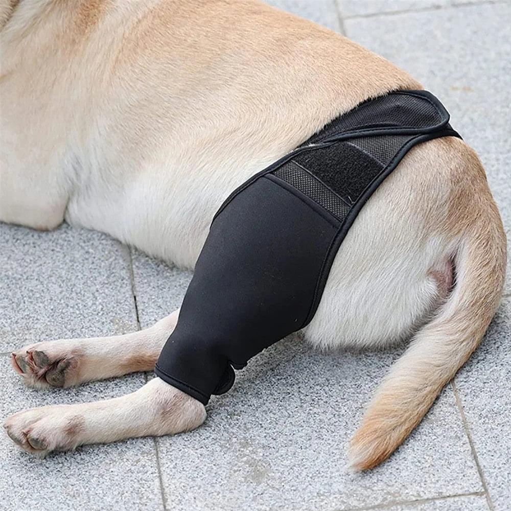 Pet Knee Pads Dog Support Brace For Leg Injury Recover Hock Joint Wrap Breathable Dog Legs Protector Support Health - Ammpoure Wellbeing