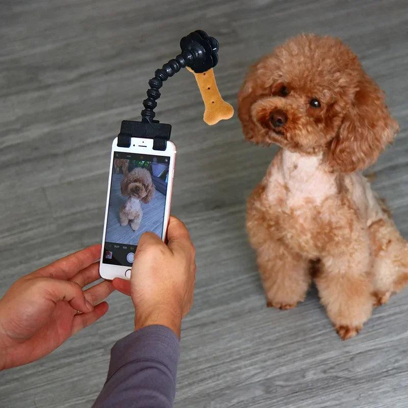 Pet Selfie Stick for Dogs Cat photography tools Pet Interaction Toys Concentrate Training Supplies Dog Accessories Drop Shipping - Ammpoure Wellbeing