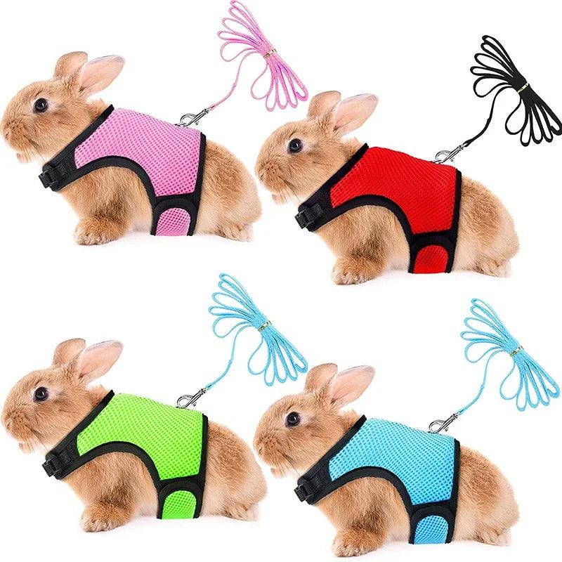 Puppy Bowknot Chest Strap Pet Rabbit Harness Vest and Leash Set For Ferret Guinea Pig Bunny Hamster Harness Pet Supplies - Ammpoure Wellbeing