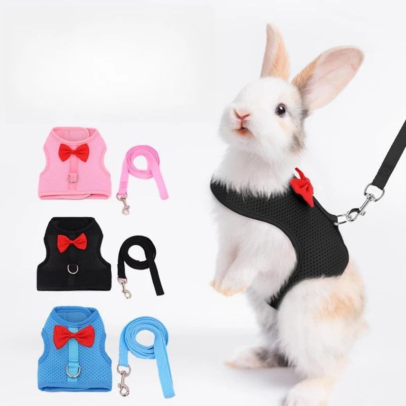 Rabbit Harness Soft Mesh Small Pet No Pull Comfort Padded Vest for Bunny Guinea Pigs Squirrels and Other Small Animal - Ammpoure Wellbeing