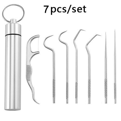 Stainless Steel Toothpick Set Tooth Flossing Reusable Toothpicks Portable Toothpick Floss Teeth Cleaner Oral Cleaning - Ammpoure Wellbeing