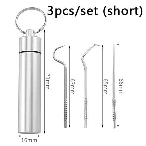 Stainless Steel Toothpick Set Tooth Flossing Reusable Toothpicks Portable Toothpick Floss Teeth Cleaner Oral Cleaning - Ammpoure Wellbeing