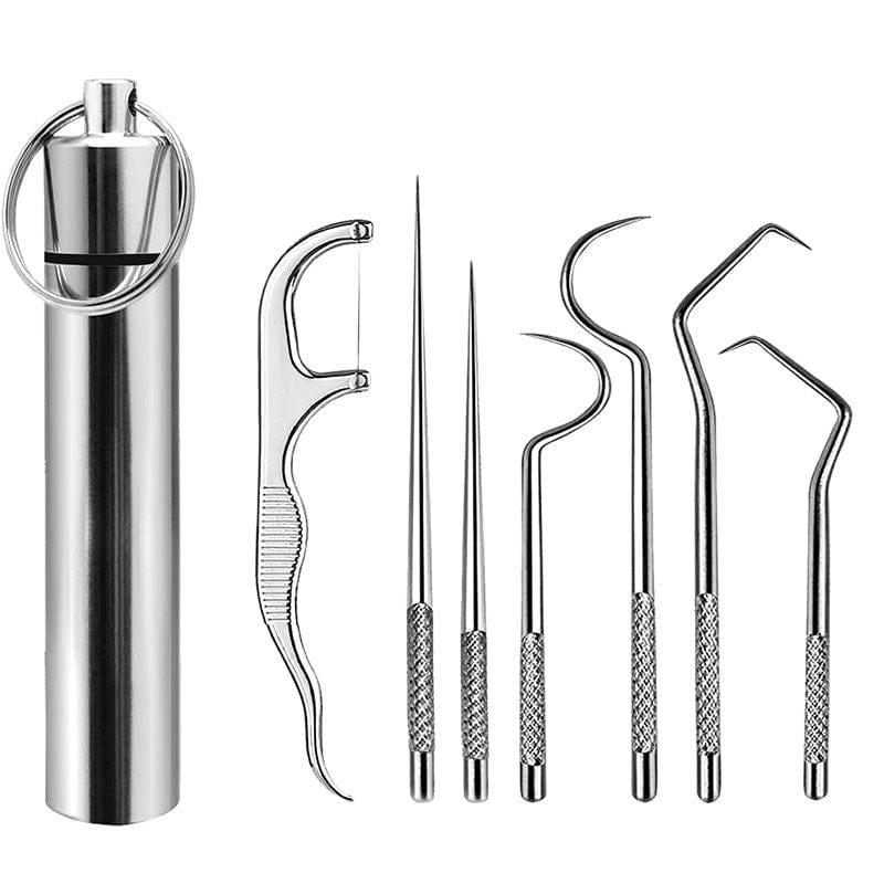 Stainless Steel Toothpick Set Tooth Flossing Reusable Toothpicks Portable Toothpick Floss Teeth Cleaner Oral Cleaning - Ammpoure Wellbeing