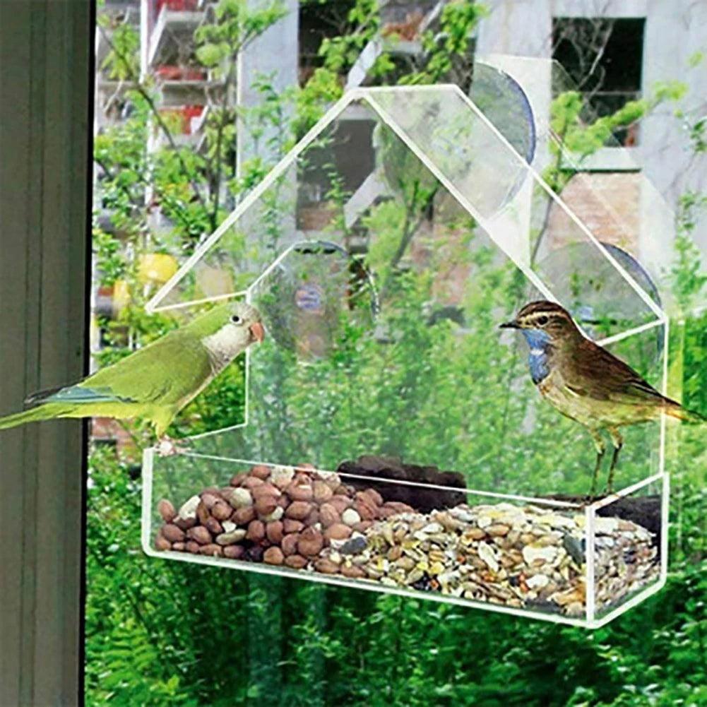 Window Bird Feeder with Strong Suction Cup Clear Acrylic Wild Bird Feeders House Hummingbird Feeders Outdoor Hanging Birdfeeders - Ammpoure Wellbeing