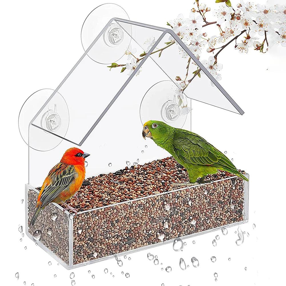 Window Bird Feeder with Strong Suction Cup Clear Acrylic Wild Bird Feeders House Hummingbird Feeders Outdoor Hanging Birdfeeders - Ammpoure Wellbeing